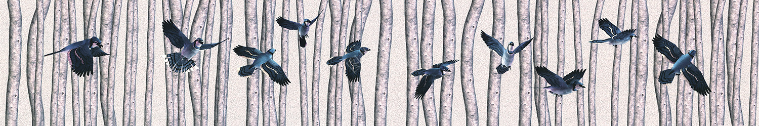 024HTK (104)180X30cm